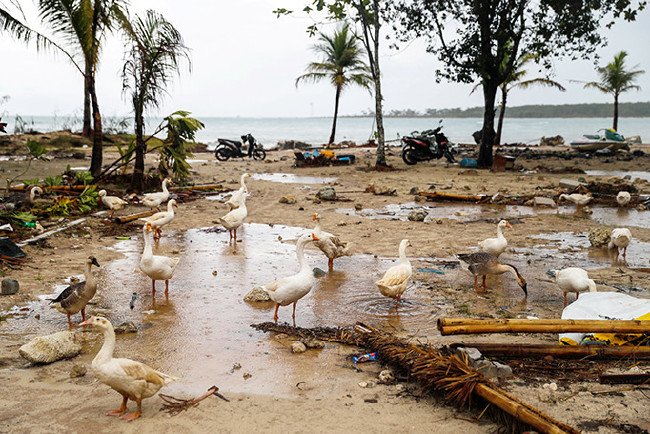 Nükleer bomba atılmış gibi... 13
