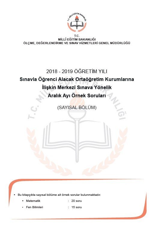 2019 LGS örnek soruları 31