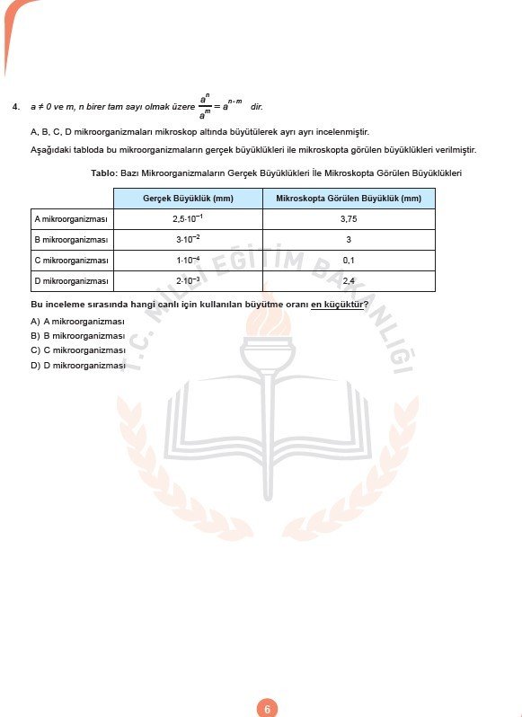 2019 LGS örnek soruları 39