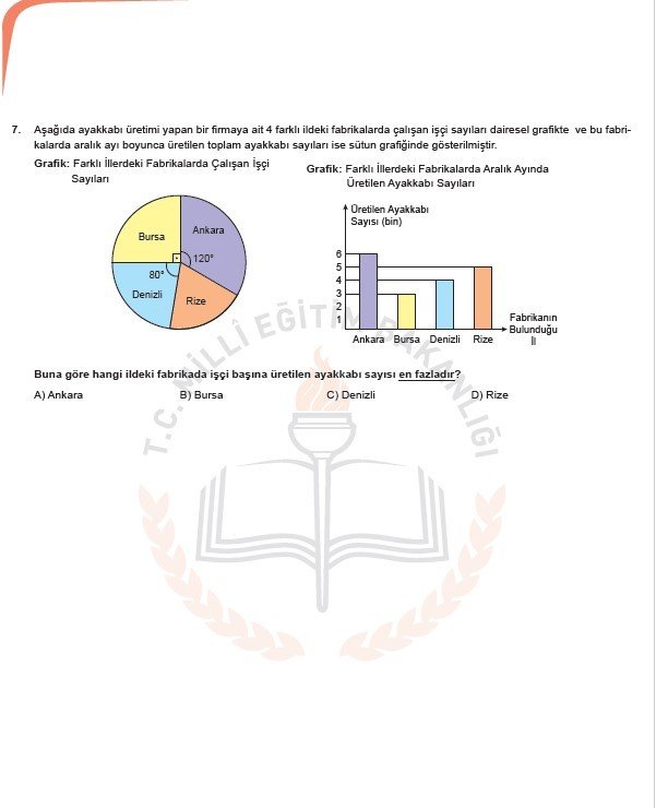 2019 LGS örnek soruları 42