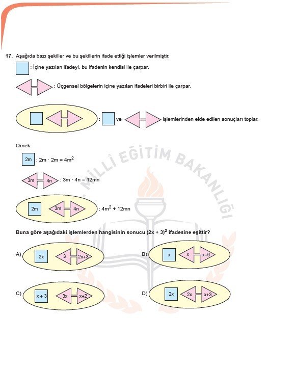 2019 LGS örnek soruları 52