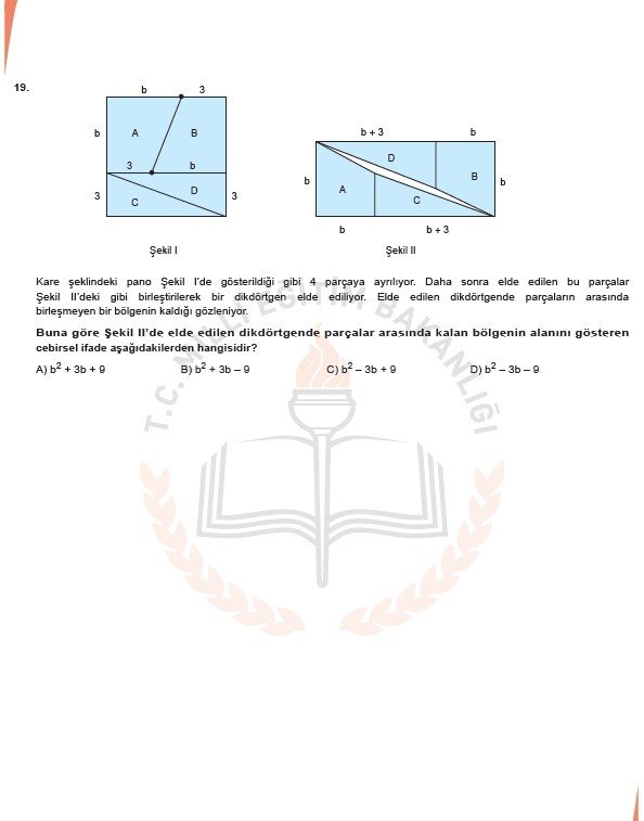 2019 LGS örnek soruları 54