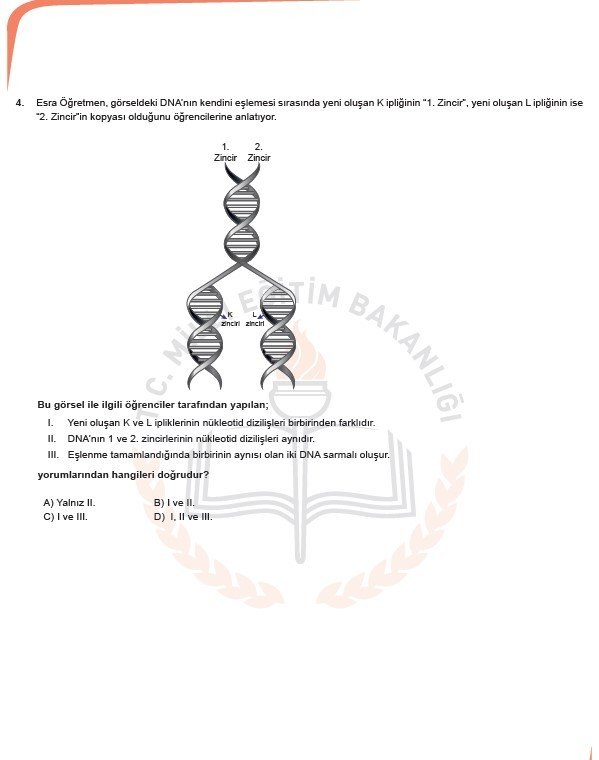 2019 LGS örnek soruları 59