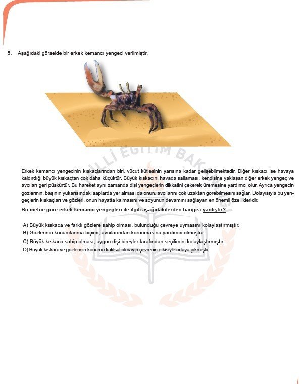 2019 LGS örnek soruları 60