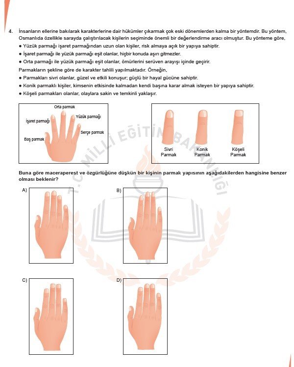 2019 LGS örnek soruları 8
