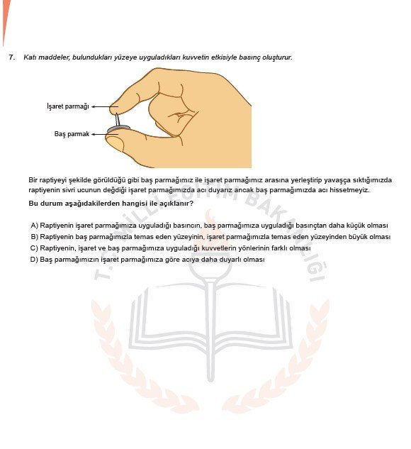 2019 LGS örnek soruları 62