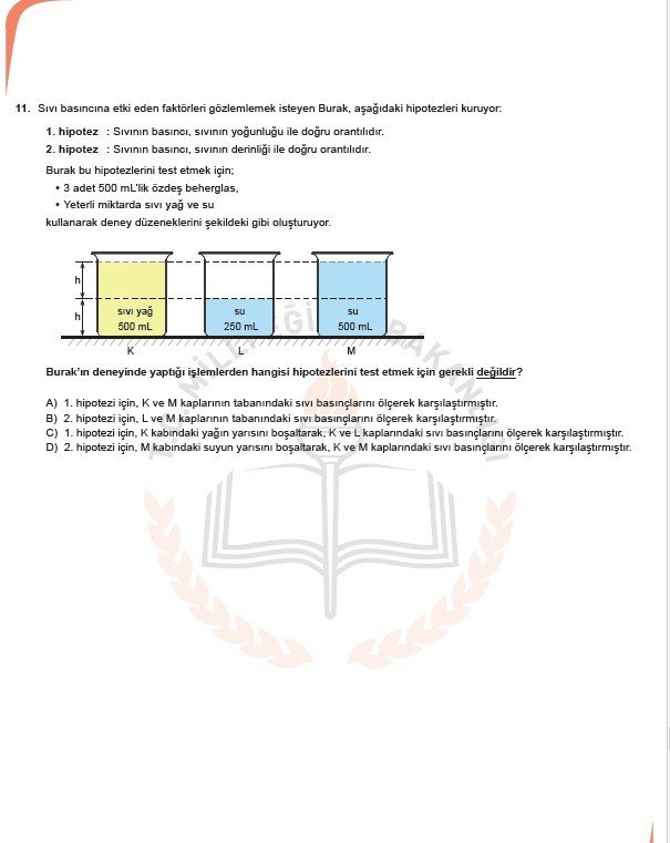 2019 LGS örnek soruları 66