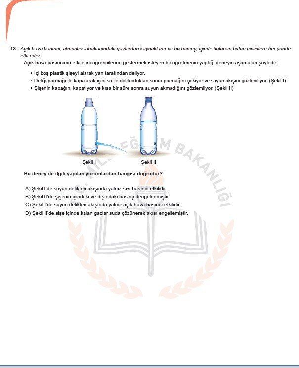 2019 LGS örnek soruları 68