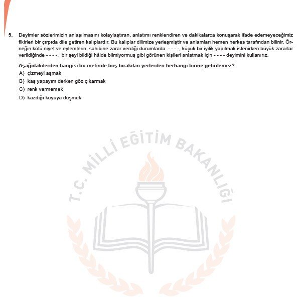 2019 LGS örnek soruları 10