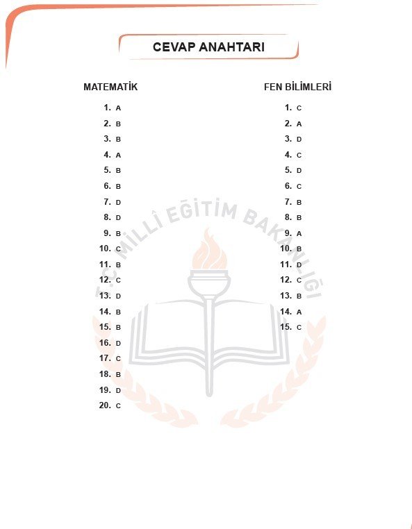 2019 LGS örnek soruları 71