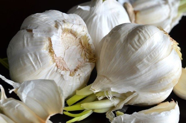 Filizlenen sarımsağın ilginç faydaları 2