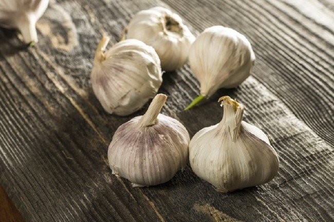 Filizlenen sarımsağın ilginç faydaları 5