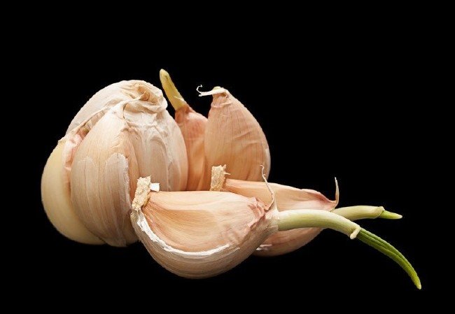 Filizlenen sarımsağın ilginç faydaları 7