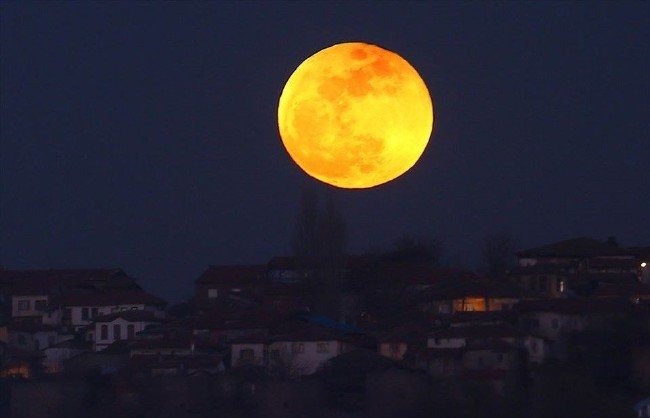 'Süper Kanlı Kurt Ay' için geri sayım başladı 12