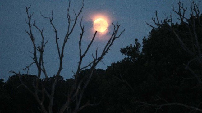 'Süper Kanlı Kurt Ay' için geri sayım başladı 27