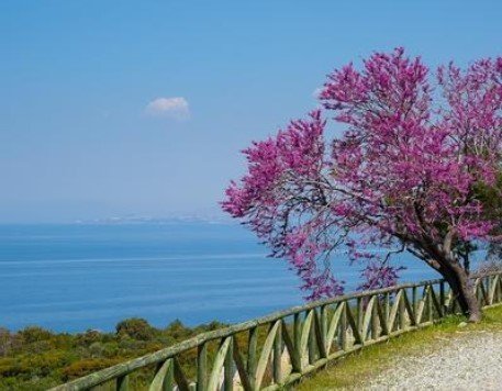 Türkiye'nin duyulmamış 7 saklı cenneti 27