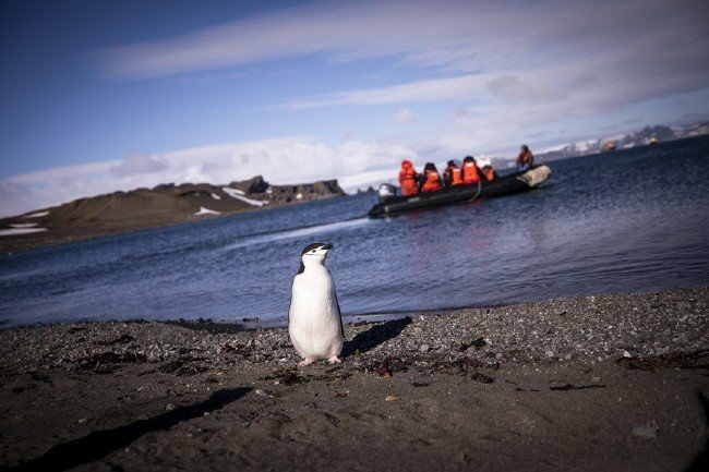 Türk bilim insanları bir kez daha Beyaz Kıta'da 12