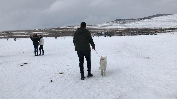 Alaska kurdu balığı vermedi 19