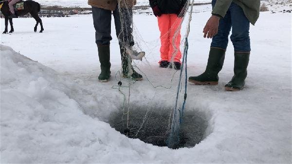 Alaska kurdu balığı vermedi 2