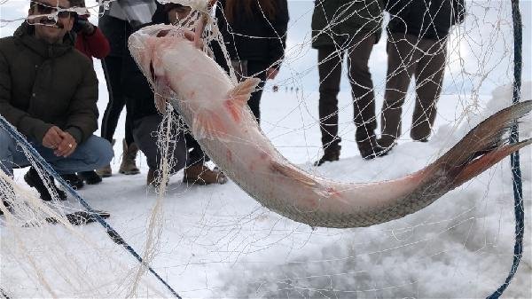 Alaska kurdu balığı vermedi 6