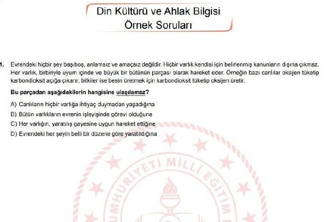 Şubat ayı LGS örnek soruları 18