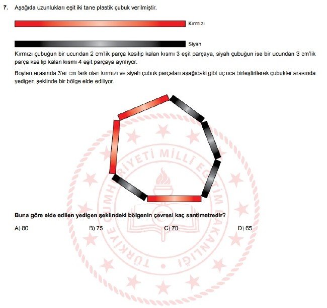 Şubat ayı LGS örnek soruları 34