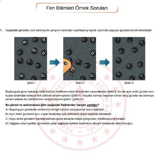Şubat ayı LGS örnek soruları 38