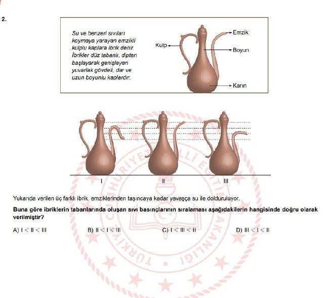 Şubat ayı LGS örnek soruları 39