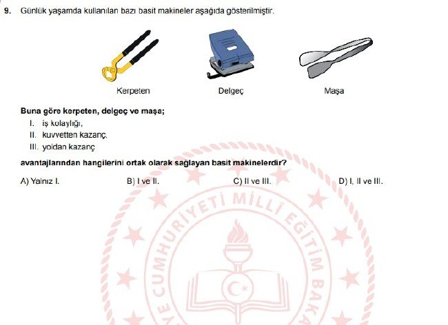 Şubat ayı LGS örnek soruları 46