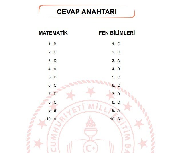 Şubat ayı LGS örnek soruları 48