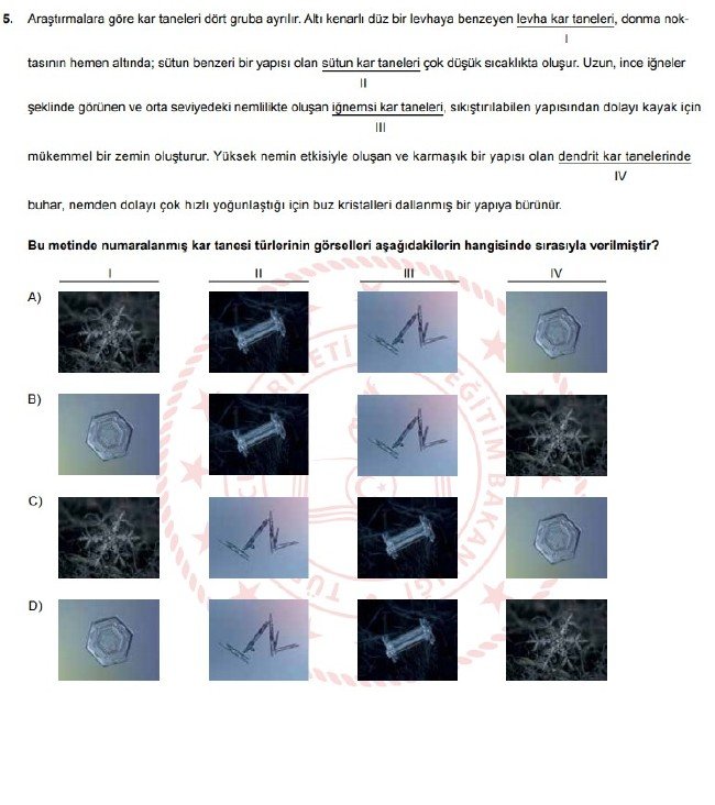Şubat ayı LGS örnek soruları 7
