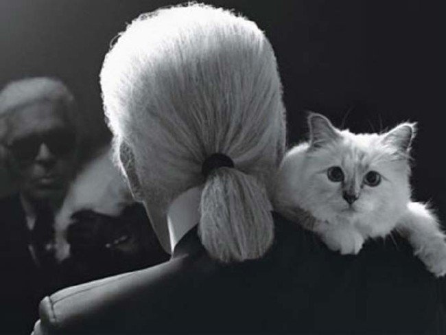 Karl Lagerfeld'in mirası kediye mi kalacak? 1