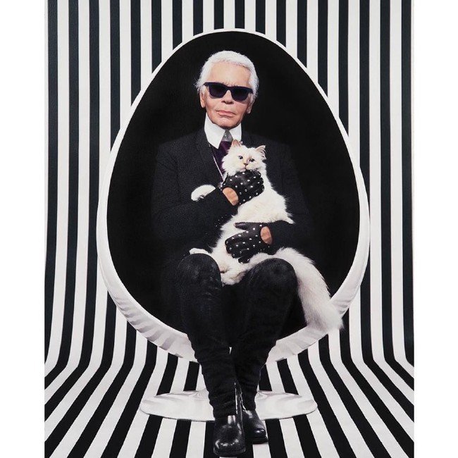 Karl Lagerfeld'in mirası kediye mi kalacak? 27