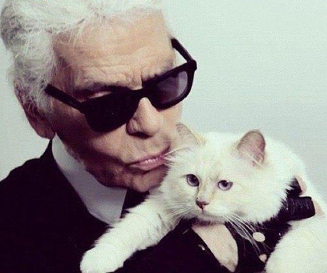 Karl Lagerfeld'in mirası kediye mi kalacak? 6