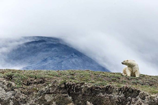 National Geographic 2019 finalistleri 6