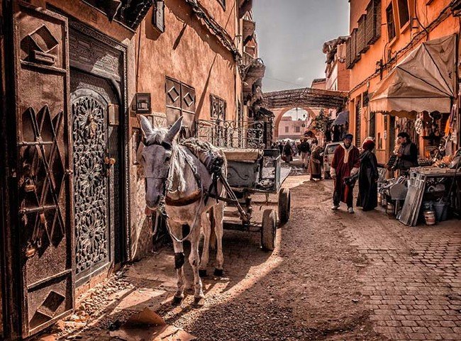 National Geographic 2019 finalistleri 1