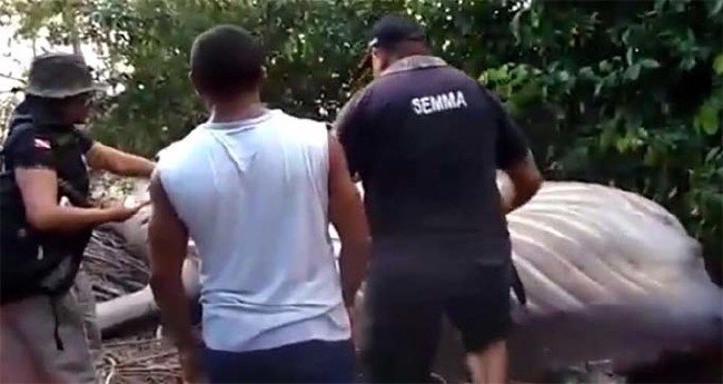 Amazonun ortasında balina bulundu! 12