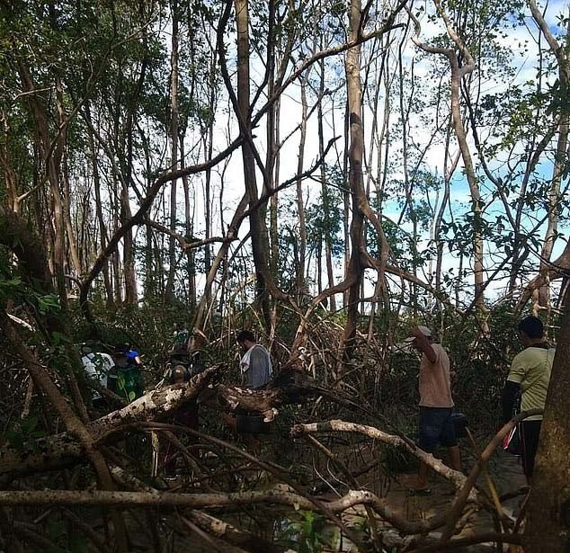 Amazonun ortasında balina bulundu! 2