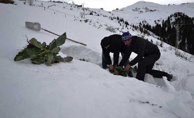 Anlamını bilmediğimiz kelimeler ve anlamları 5