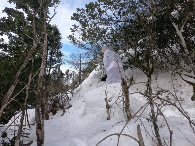 'Kawa' ve 'Aras' aranıyor 1