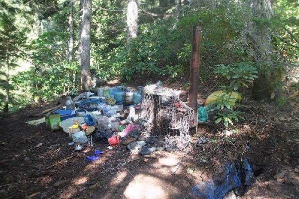 'Kawa' ve 'Aras' aranıyor 15