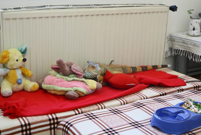 10 yıldır evinde onunla yaşıyor 9