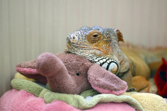 10 yıldır evinde onunla yaşıyor 10