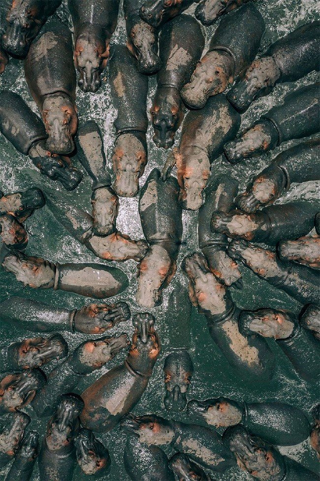 2018'in en iyi drone fotoğrafları 10