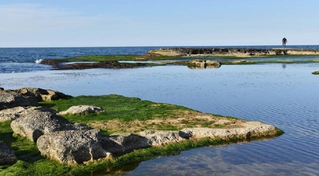 İstanbul'un yanı başındaki cennet: Pembe Kayalar 8