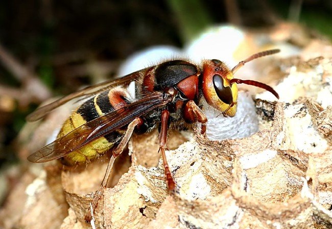 İnsanların merak ettiği ilginç sorular 13