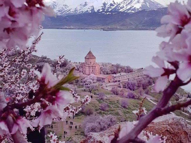 Akdamar Adası'nda ilkbahar güzelliği 1