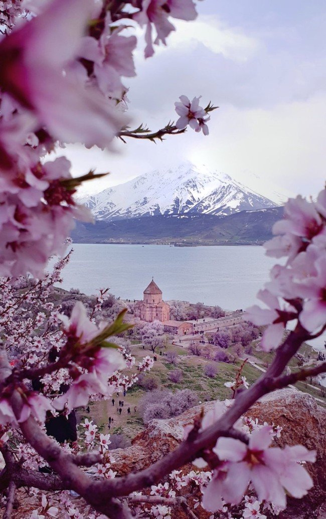 Akdamar Adası'nda ilkbahar güzelliği 12