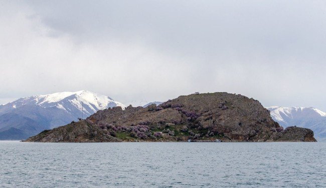 Akdamar Adası'nda ilkbahar güzelliği 14