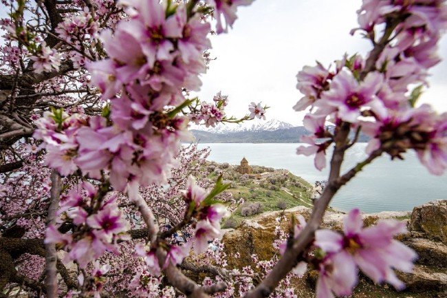 Akdamar Adası'nda ilkbahar güzelliği 20